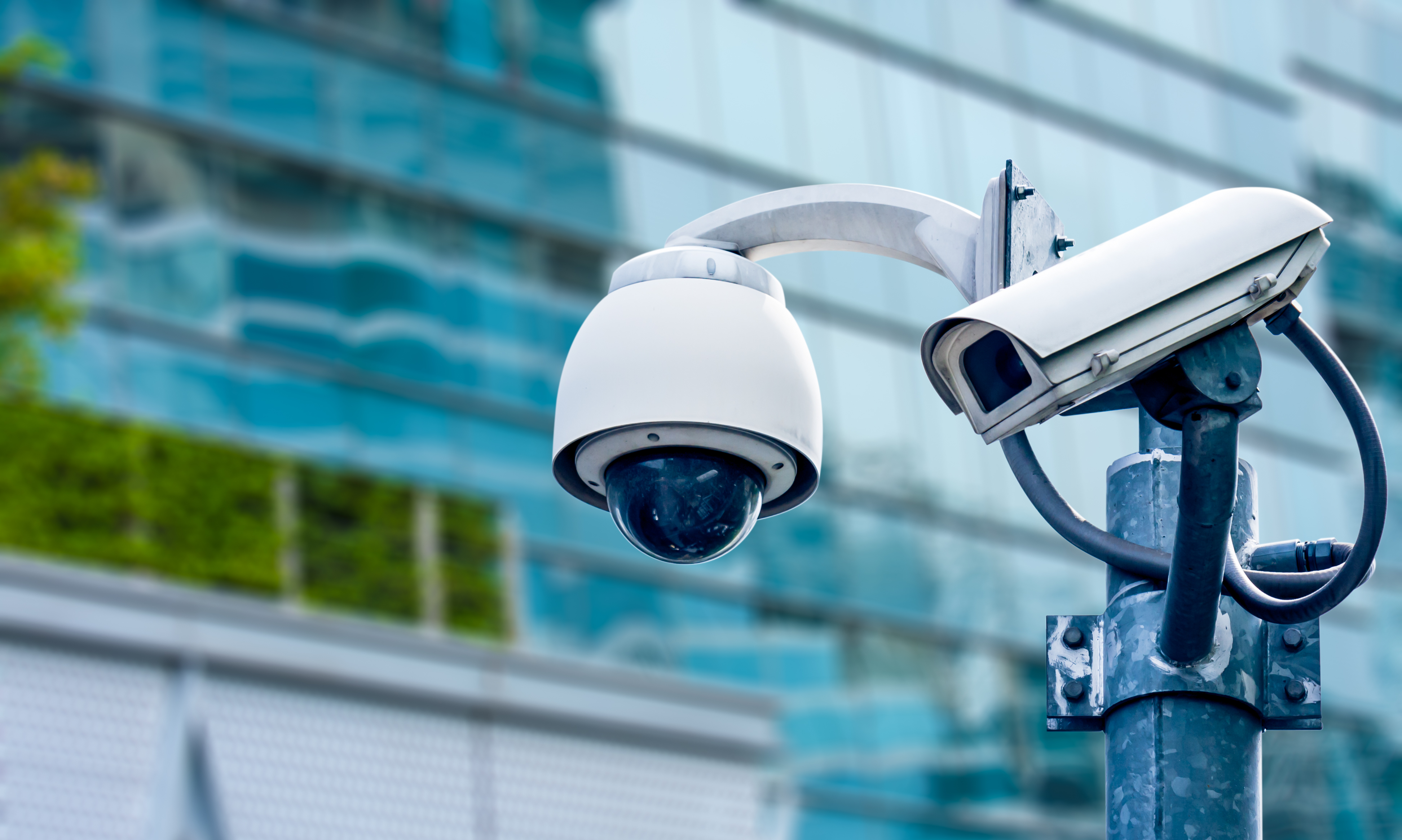 Telecamera sicurezza