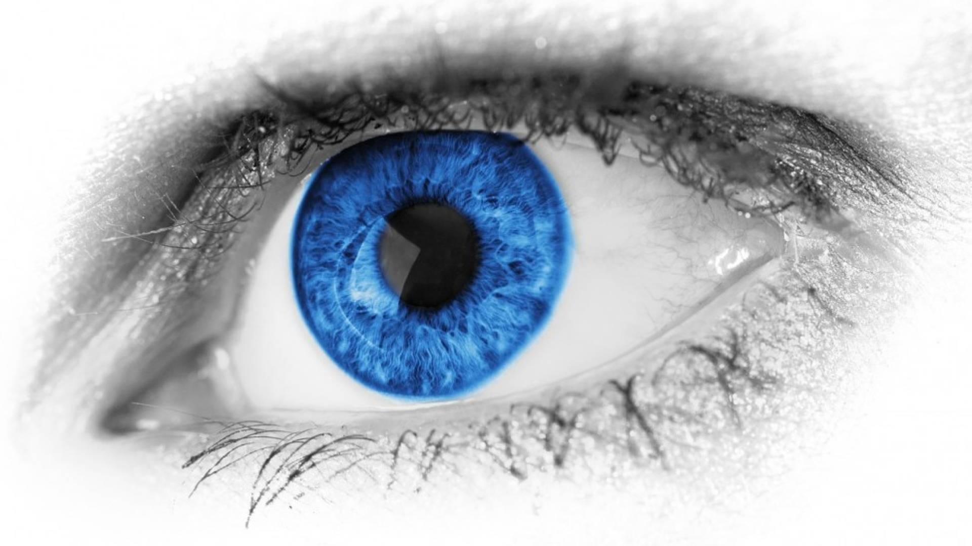 Visione intelligente